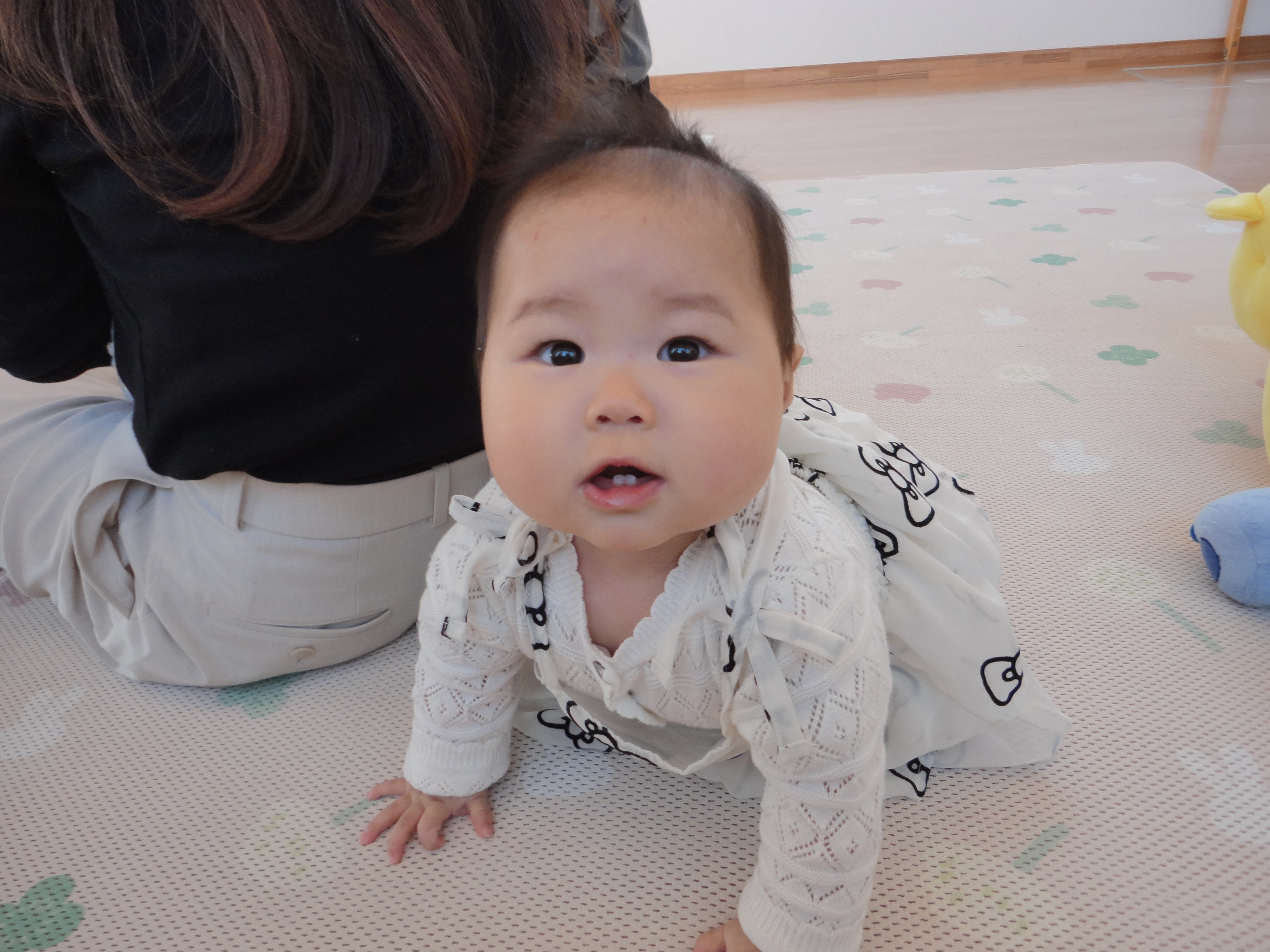 令和８年度
第３回　「こいのぼり製作」